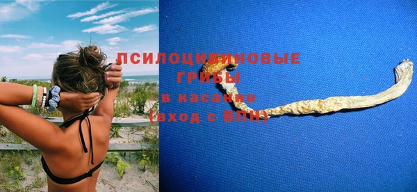 ALPHA PVP Краснослободск