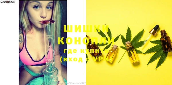крисы Кукмор