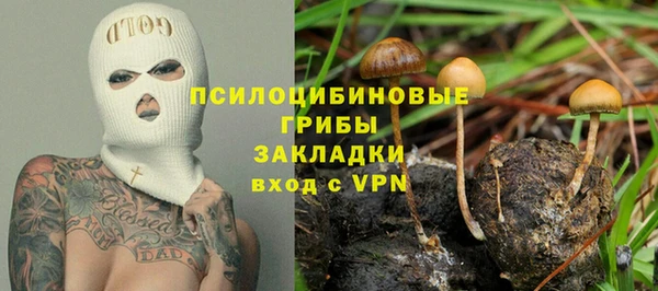 твердый Кулебаки