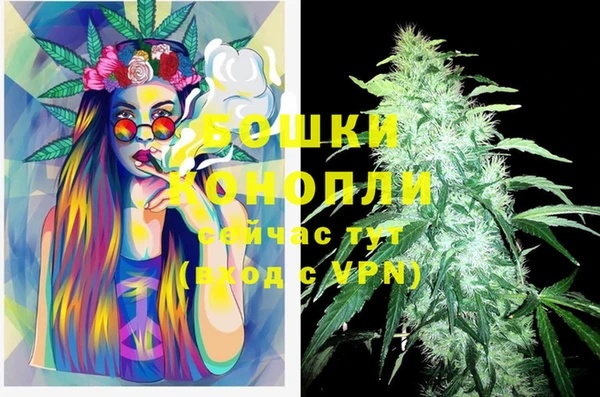 винт Куйбышев