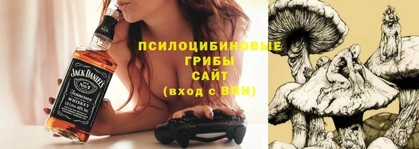 ALPHA PVP Краснослободск