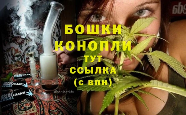 ALPHA PVP Краснослободск